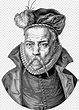Tycho Brahe, Retrato, Arte lineal, Astrónomo, Celebridad, Científico ...