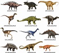 dinosaurios aqp: Dinosaurios