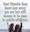 40 Crazy Funny Friendship Quotes for Best Friends Dreams