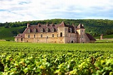 Château de Langoiran - Tourisme de la Gironde