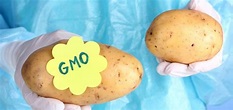 How to Know if You're Buying the New GMO Potato