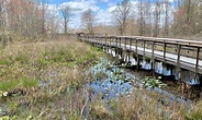 Go here: Great Swamp National Wildlife Refuge - NJ Indy