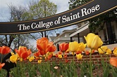 School of Arts and Humanities Faculty | The College of Saint Rose
