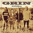 Best Buy: The Very Best of Grin Featuring Nils Lofgren [CD]