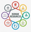 Human Resources Department Logo, HD Png Download , Transparent Png ...