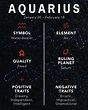 Everything You Need To Know About The Aquarius In Your Life | Zodiac ...