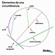 Elementos de la Circunferencia y Circulo - Mind Map