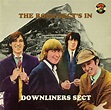 Downliners Sect – The Rock Sect's In (Vinyl) - Discogs