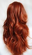 10 Wonderful Hairstyles for Ginger Hair – Trendy Red Hairstyles ...