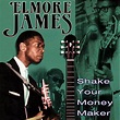 Elmore James - Shake Your Money Maker (2002, CD) | Discogs