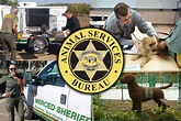 Animal Services | Merced County, CA - Official Website