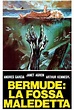 Bermudas: la cueva de los tiburones (Película) | Programación de TV en ...