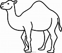 Dibujo De Camello Para Colorear - Ultra Coloring Pages
