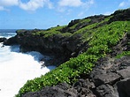 Kipahulu Coastline in Maui, Hawaii [2272x1704] : r/EarthPorn