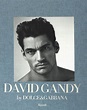 DAVID GANDY THE BOOK BY D&G DOLCE & GABBANA - Rizzoli | eBay