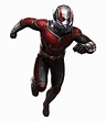 Ant Man High Quality Png Ant Man Marvel - Clip Art Library