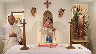Santa Misa, Sabado de la Onceava Semana de Tiempo Ordinario 6/20/2020 ...