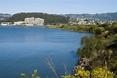 Albany, California - Wikipedia