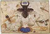 Joris Hoefnagel | Insects and the Head of a Wind God | The Metropolitan ...