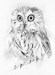 owl by alexis marcou | Owls drawing, Owl, Art prints