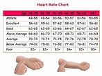 Resting Heart Rate Chart Heart Rate Chart Resting Heart Rate Chart Images