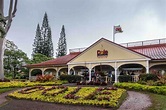 Is Dole Pineapple Plantation in Hawaii a Tourist Trap? (2023)
