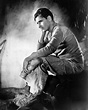 CONDEMNED RONALD COLMAN 8X10 PHOTO | Ronald colman, Colman, Classic ...