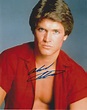 Andrew Stevens Age, Net Worth, Movies And TV Shows, Wikipedia - ABTC