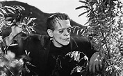 Frankenstein, literatura y cine - Silenzine