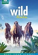 Wild Arabia - movie: where to watch streaming online