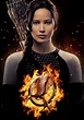 The Hunger Games: Catching Fire Picture - Image Abyss