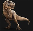 Tiranosaurio Rex | Wiki | Amino Paleontología Amino