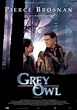 Grey Owl. Gufo grigio (1999) | FilmTV.it