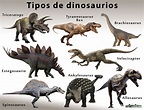 Dinosaurios: Nombres de los diferentes tipos; Cuándo y cómo se extinguieron