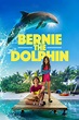 Ver Bernie el Delfín (2018) Online - CUEVANA 3