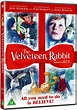 The Velveteen Rabbit | DVD | Free shipping over £20 | HMV Store