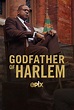 Godfather of Harlem | Godfather of Harlem Wiki | Fandom