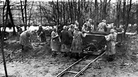 76th anniversary of liberation of Ravensbrück concentration camp ...