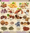 Nuts and Seeds | English vocabulary, English language learning, Learn ...