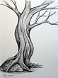 Tree Drawing / Tree Drawing How To Draw A Tree Easy Drawings Easy ...