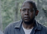 Foto de Forest Whitaker - Repentance : Foto Forest Whitaker - SensaCine.com