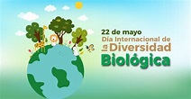 Día Internacional de la Diversidad Biológica | 22 de mayo | Instituto ...
