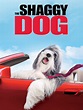 The Shaggy Dog - Movie Reviews