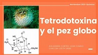 Tetrodotoxina y el pez globo | Lizeth Fernanda Uribe Diaz | uDocz