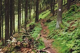 Karte für Gipfelwanderweg Suhl, Deutschlands Schönste Wanderwege
