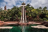 Loro Parque en Siam Park in Tenerife bezoeken? Info, tips & tickets