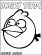 Dibujo para imprimir y colorear de Angry Bird Azul - Blue Bird