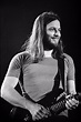 David Gilmour David Gilmour Guitar, David Gilmour Pink Floyd, Dave ...