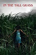 Synopsis: In the Tall Grass Movie Review – VISADA.ME