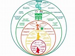 Laloux Culture Model. Originated from Frederic Laloux’s… | by Maggie ...